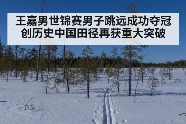 王嘉男世锦赛男子跳远成功夺冠创历史中国田径再获重大突破